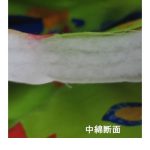 0932110902yoj